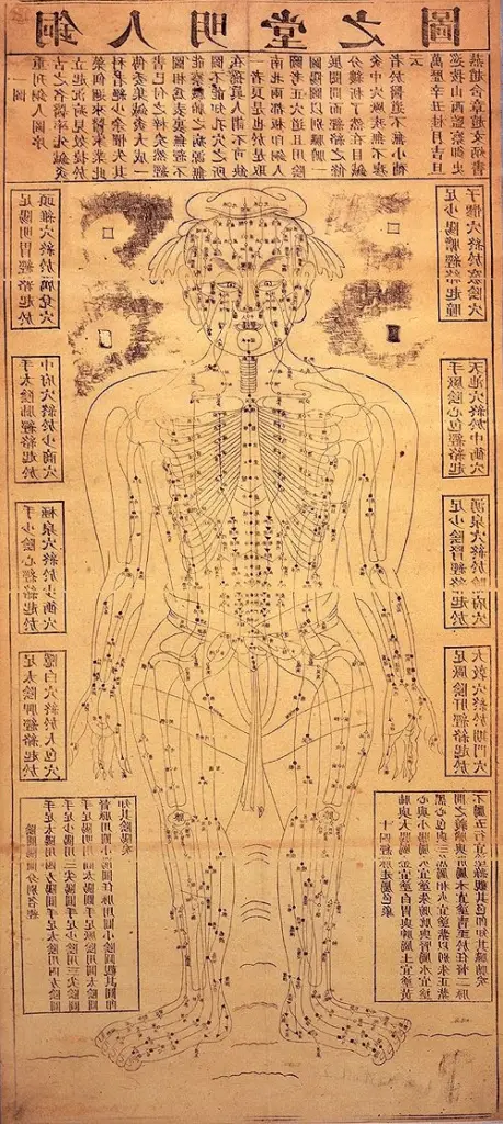 estudiar acupuntura