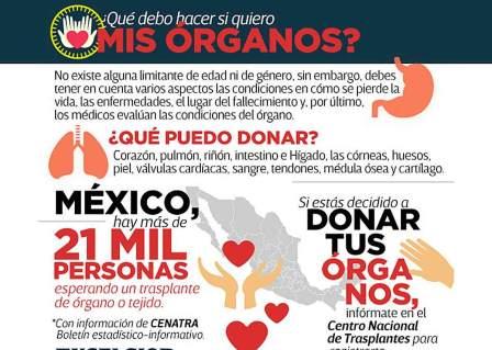 Donar Órganos -1